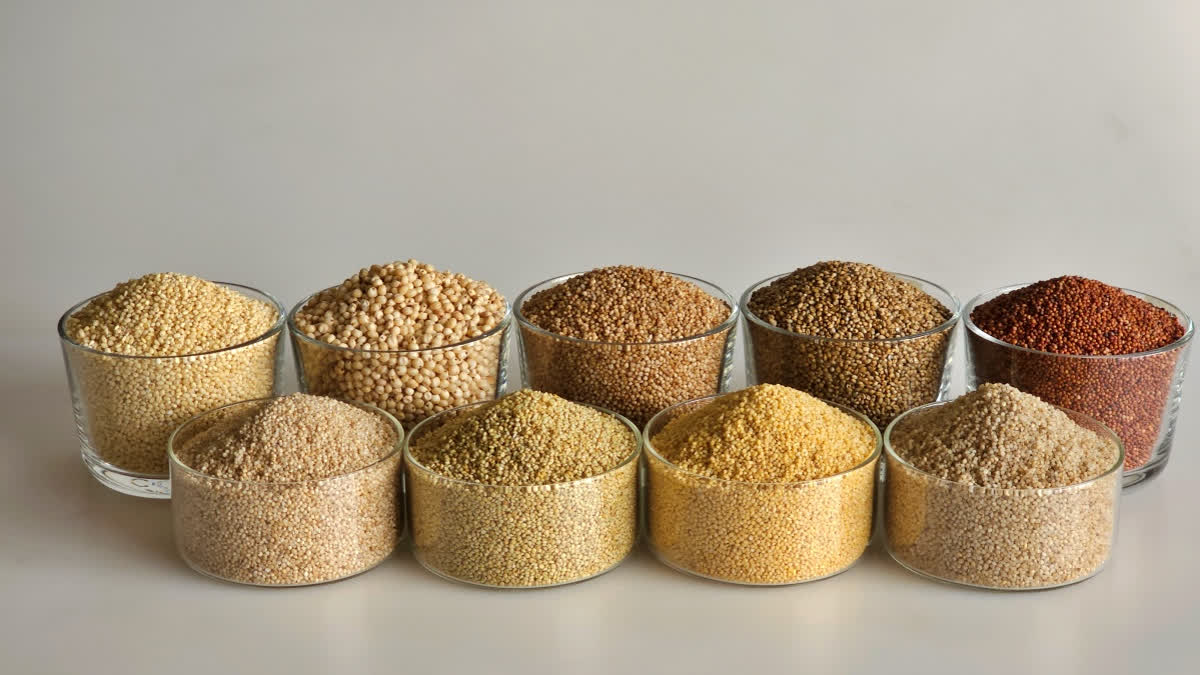 Why Positive Millets Work When Oats and Quinoa Don’t, The Gluten-Free, Non-Gassy Food You Didn’t Know You Needed